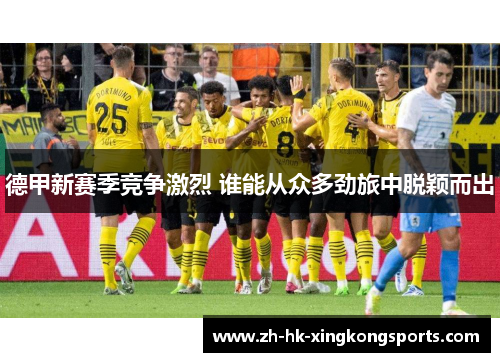 德甲新赛季竞争激烈 谁能从众多劲旅中脱颖而出